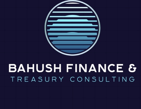 bahushtreasuryconsulting.co.za